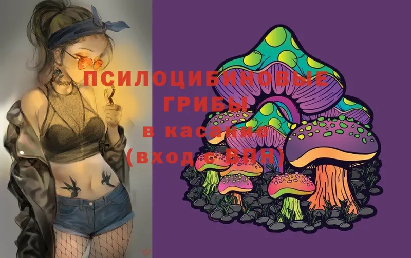 Галлюциногенные грибы Cubensis  Каменка 